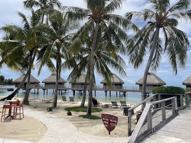 Palm trees in front of the bungalows and beach area