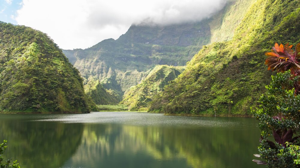 beautiful vegetation and flower with still lake surrounded by steep green mountainous landscape