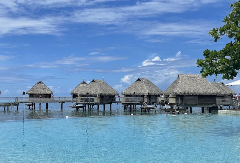 The deep blue infinity pool in front of the bungalows of Manava Beach Resort in Moorea