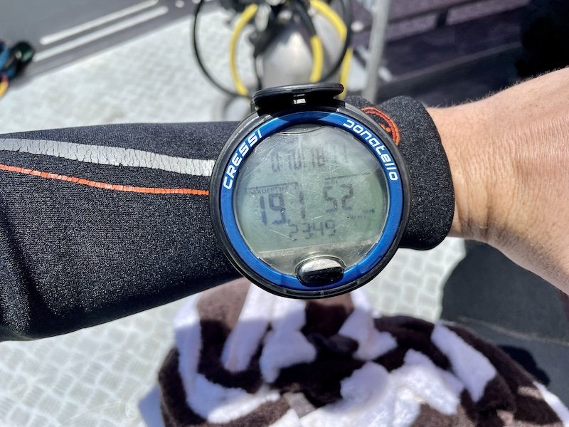 Allison's hand, wearing a wetsuit, wearing a dive computer on her left wrist with scuba gear in the background.