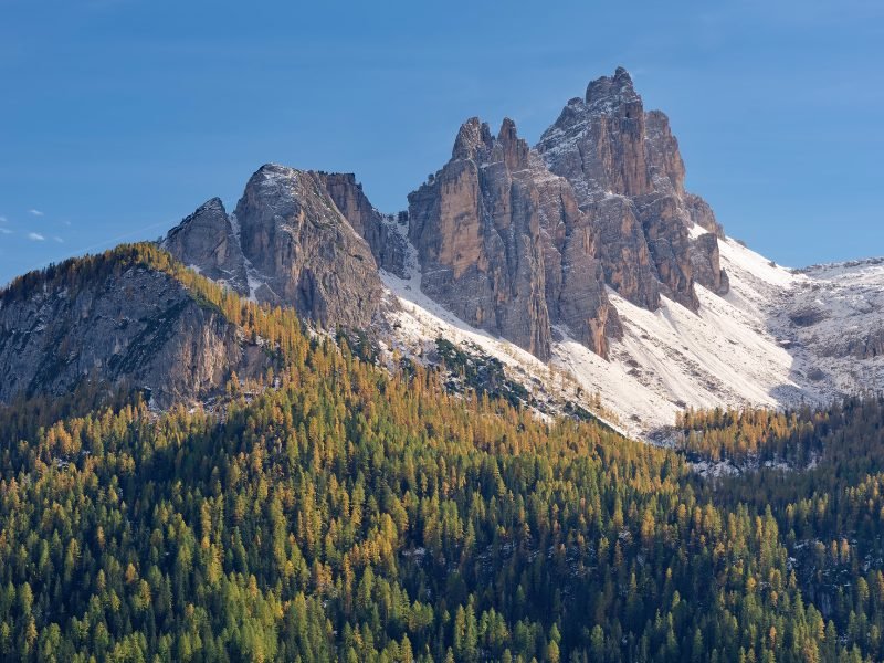 Mountain peaks with trees and snowy parts and craggy parts