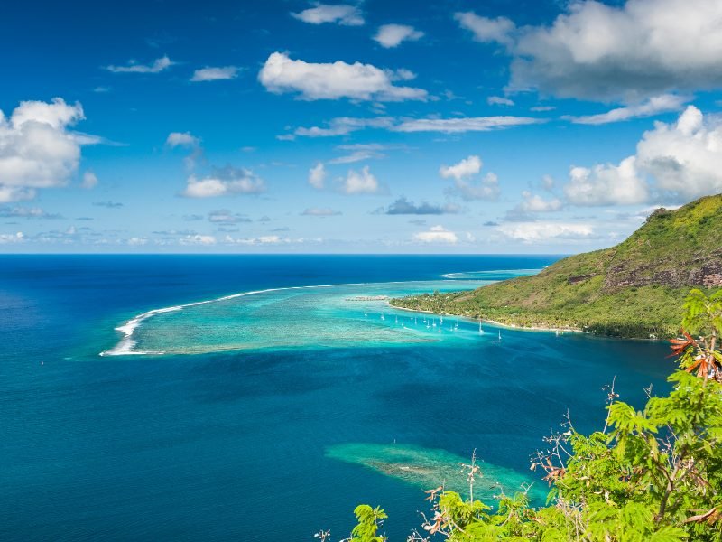 Aerial view of water in French Polynesia on the island of Moorea