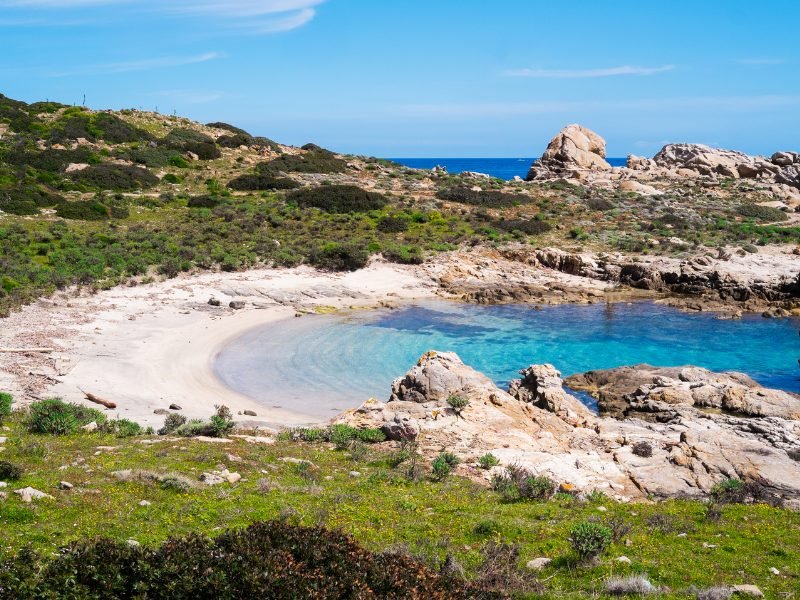 small sandy beach on sardinia's island of asinara which is part of a national park, white sand and blue water and rocky landscape and grass