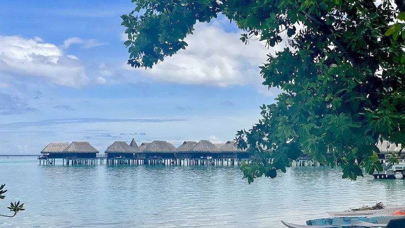 Sofitel bungalows on the island of Moorea