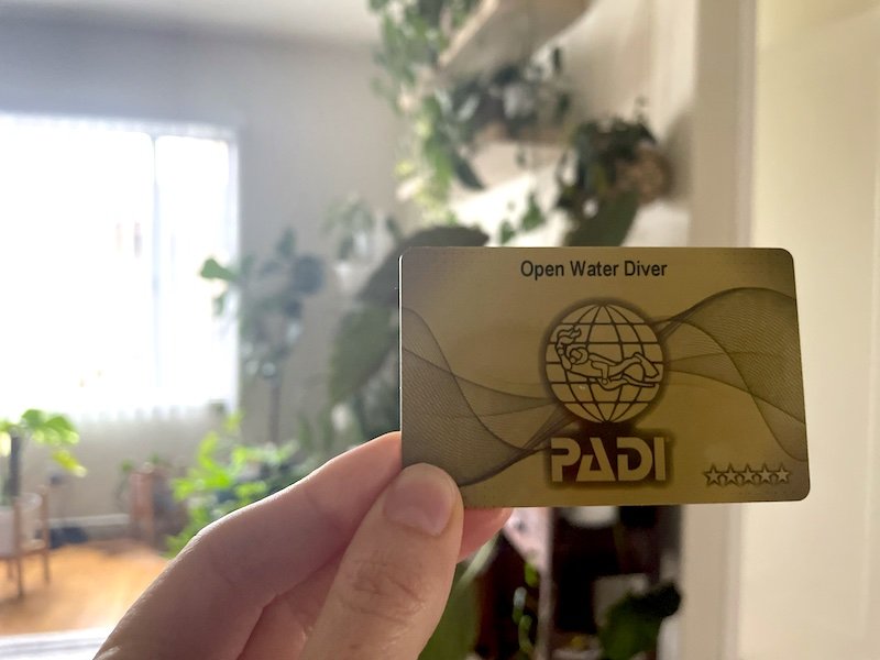 Allison's hand holding her gold "Open Water Diver" card issued by PADI with plants and apartment background visible behind her.