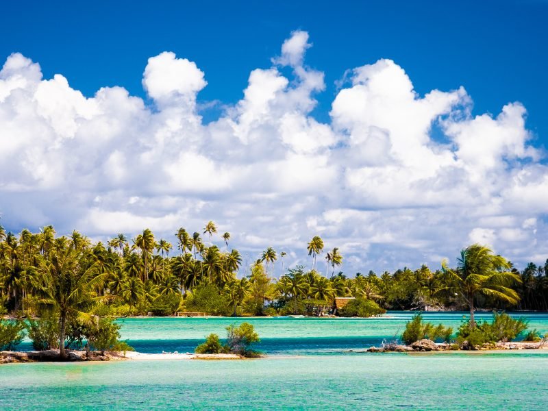 Palm trees on the island of Huahine in the Society Islands of French Polynesia