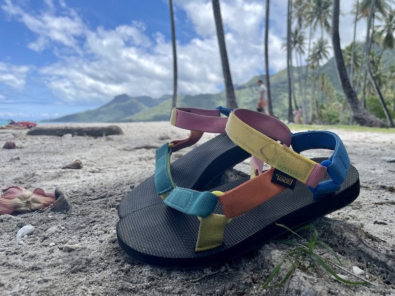 Colorful sandals propped up with tropical background