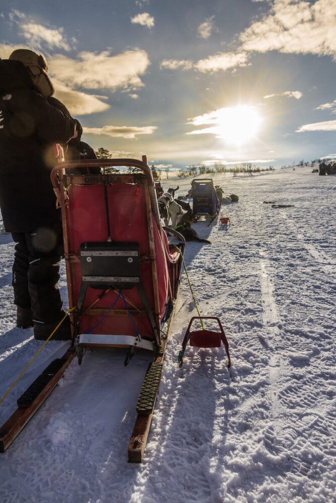 View of a self-driving dog sled where one person stands on the back of the sled and another sits in front. Dogs in front of the sled. Sun setting in the front horizon.