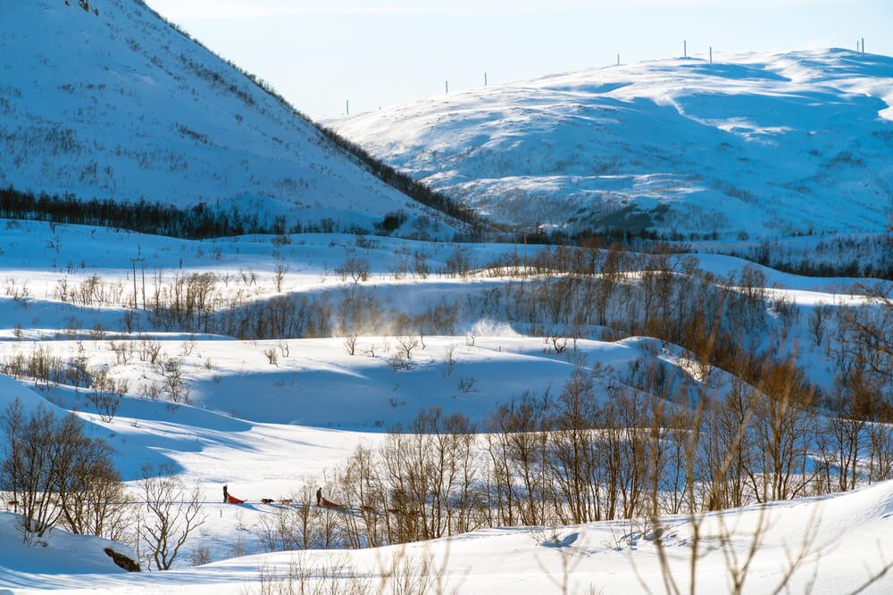 View of the snow-covered landscape in Tromso, Norway with a small view of a dog sledding team in the distance