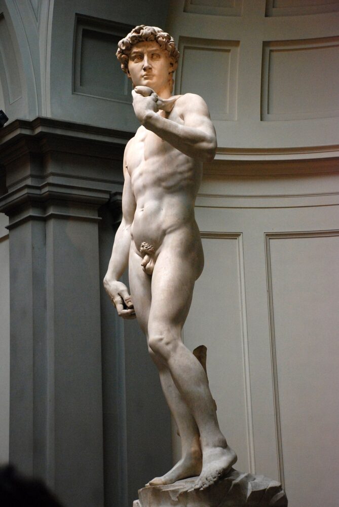 A side profile view of the famous sculpture of david, carved from marble and placed in an art gallery