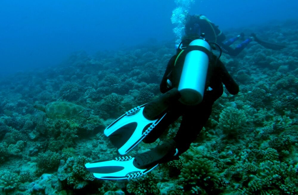 Allison diving in Moorea with a sea turtle nearby her