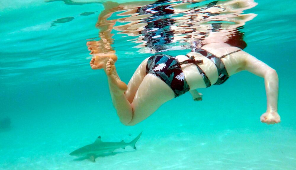 Allison swimming with shark in Moorea