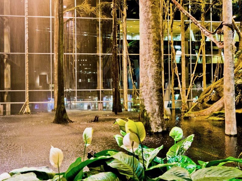 exploring the tropical garden area of the cosmocaixa museum in barcelona in december