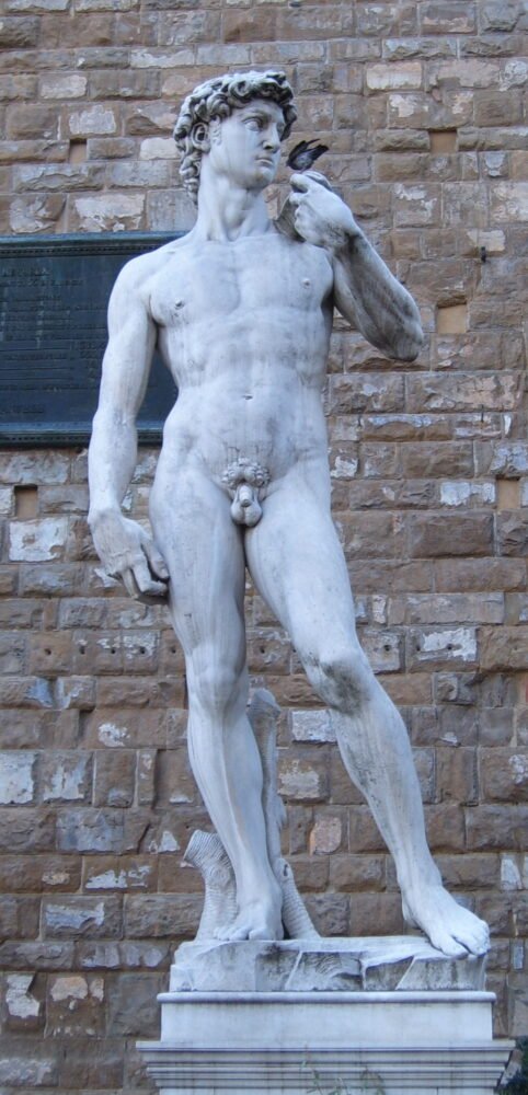 A replica of the Statue of David seen in Piazza Signorina in the heart of Florence, but it's important to note this ia plaster cast and not the original