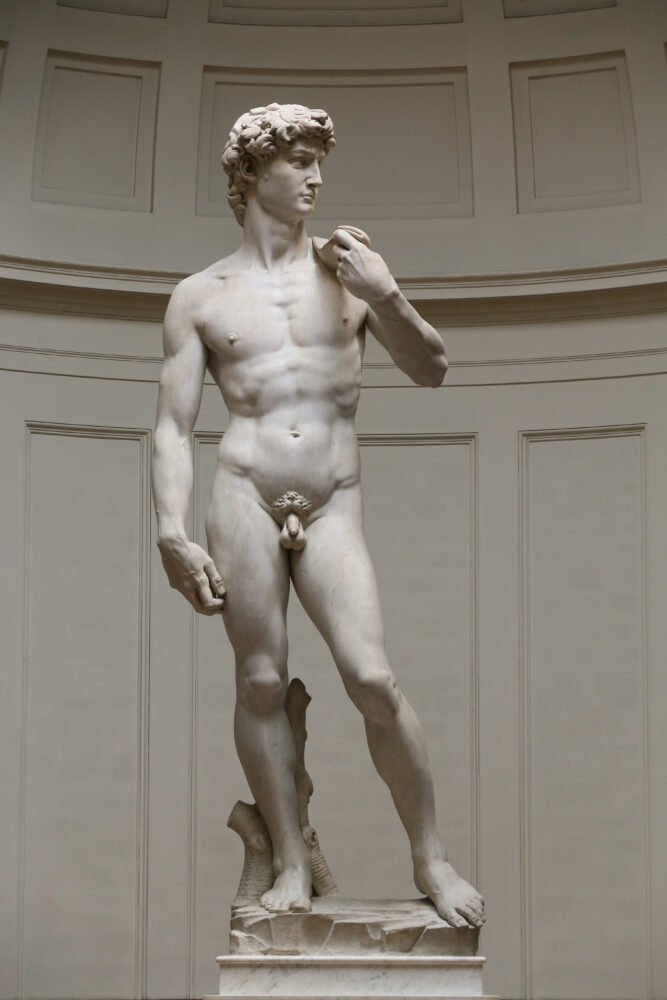 The famous statue of david seen in a rotunda of a famous gallery in Florence