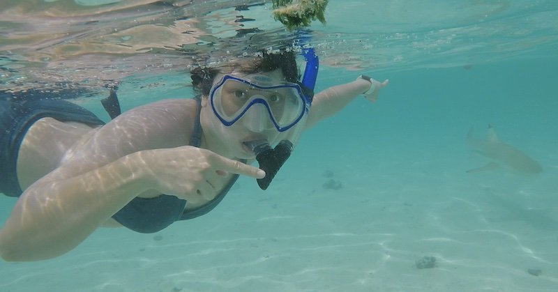 Allison's partner pointing to a shark while swimming in Moorea