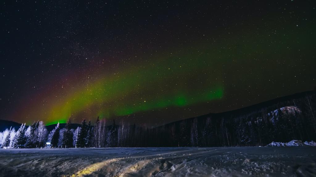 A view of the green and reddish-purple northern lights over Fairbanks Alaska