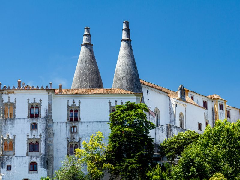 Two conical spire-type buildings on top of a castle with ornate windows and a blue sky and trees