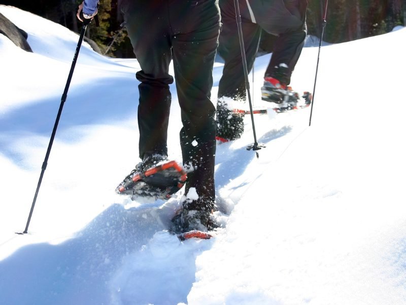 A view of two snowshoers feet as they traverse the snowy landscapes with snowshoes and poles