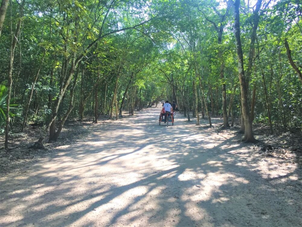 The pathways around Coba ruins on a bike