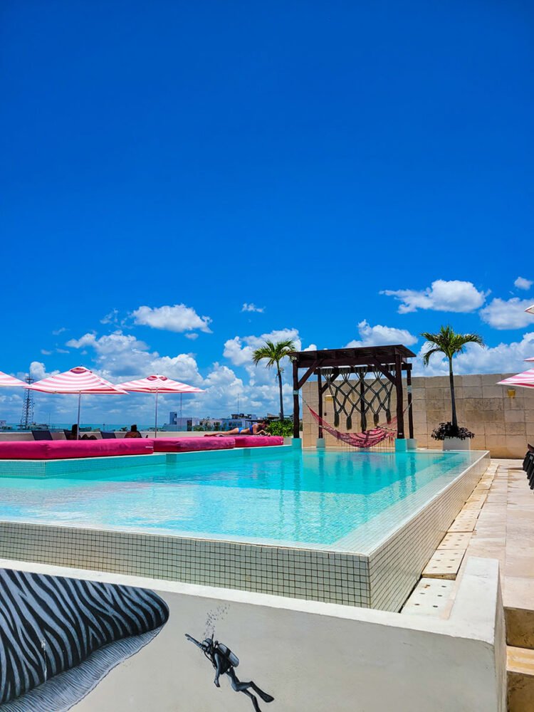 The rooftop pool club at the Palm in Playa del Carmen with pink hammocks and sunbeds