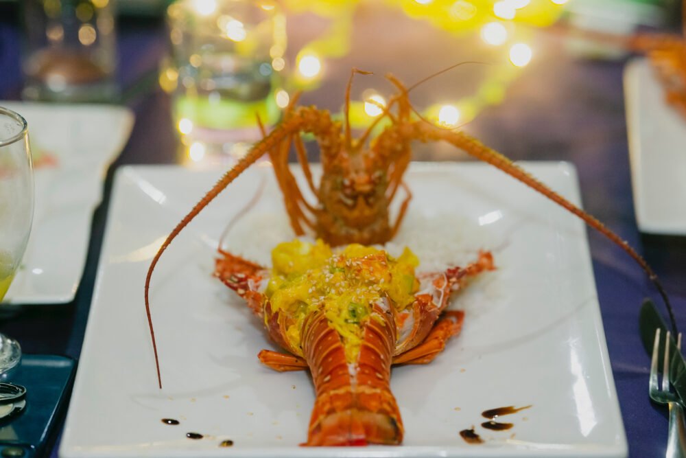 Delicious lobster seafood dish plated beautifully with sauce, and lobster head creating an ornamental aspect to this fine dining dish served at an overwater bungalow in Panama