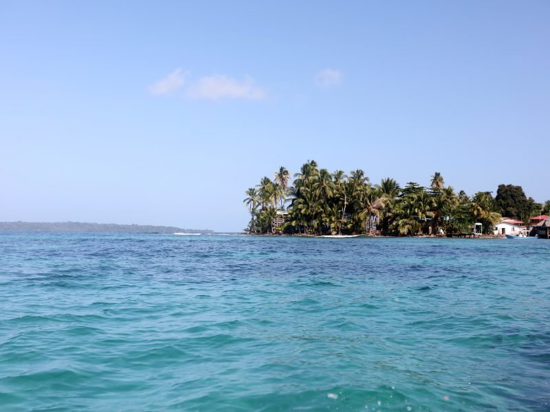 palm trees and water and brilliant blue sky in Bocas del Toro view on a boat