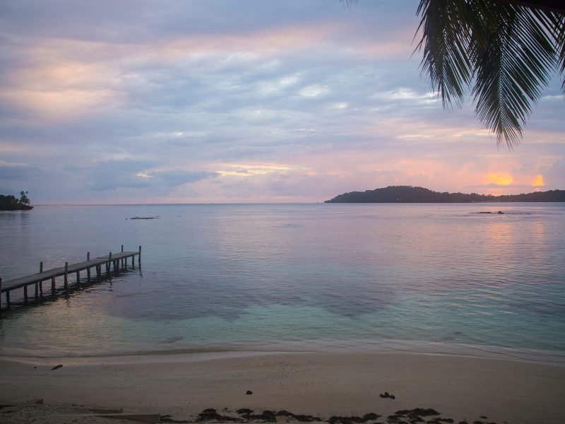 view of the beach at sunrise with palm fronds and clouds lit up in pastel colors