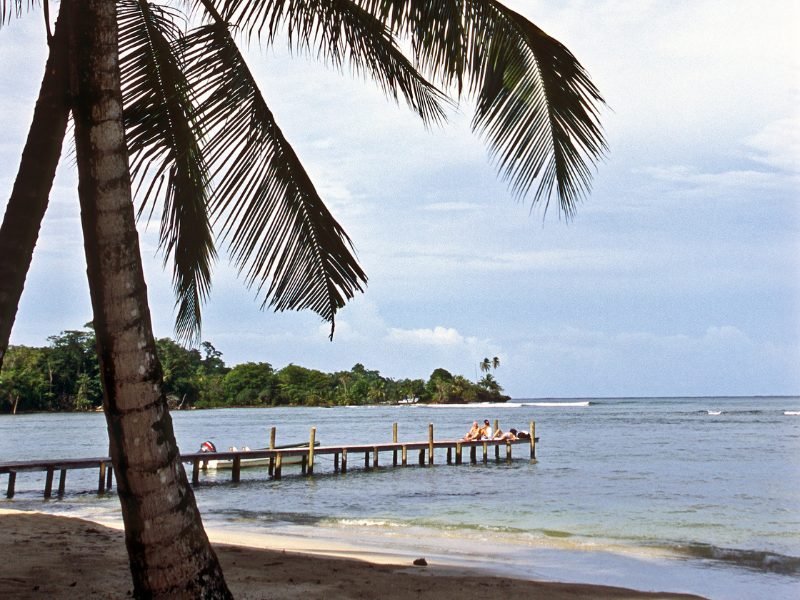 people hanging out on a dock area in panama's boca del toro region with a palm tree showing up large in the foreground