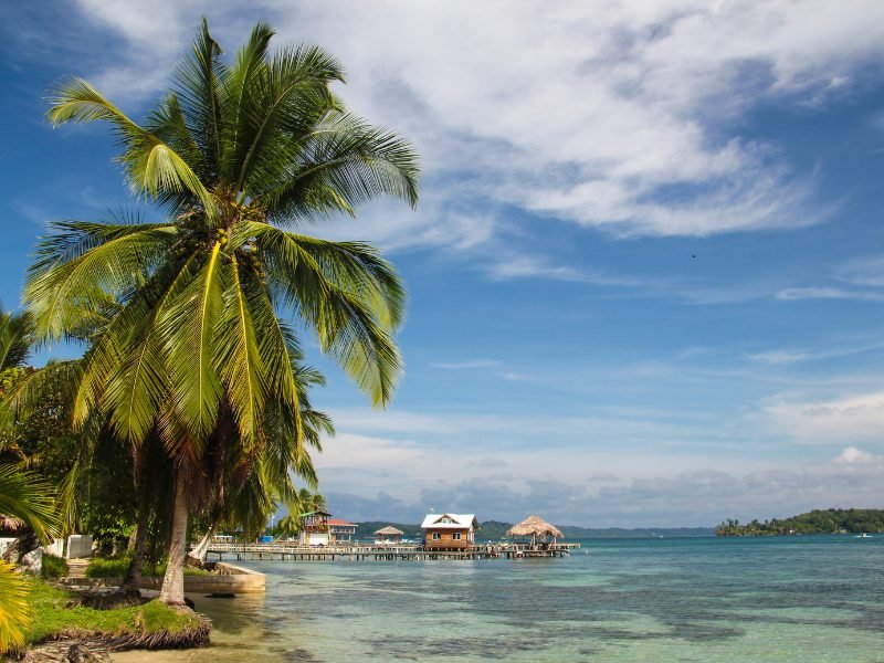 Dock with buildings on it and a thatch roof building all on an over-the-water pier with a lagoon and palm tree