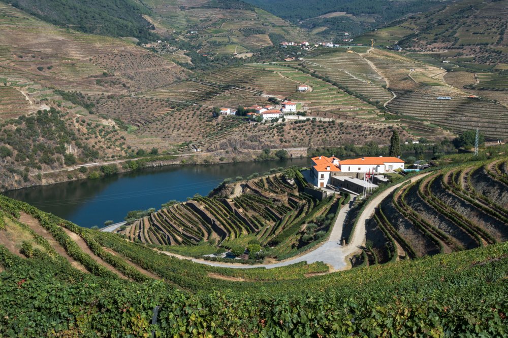 Looking down on quinta buildings in lush terraced vineyards on hillside by the river in Douro Valley in autumn