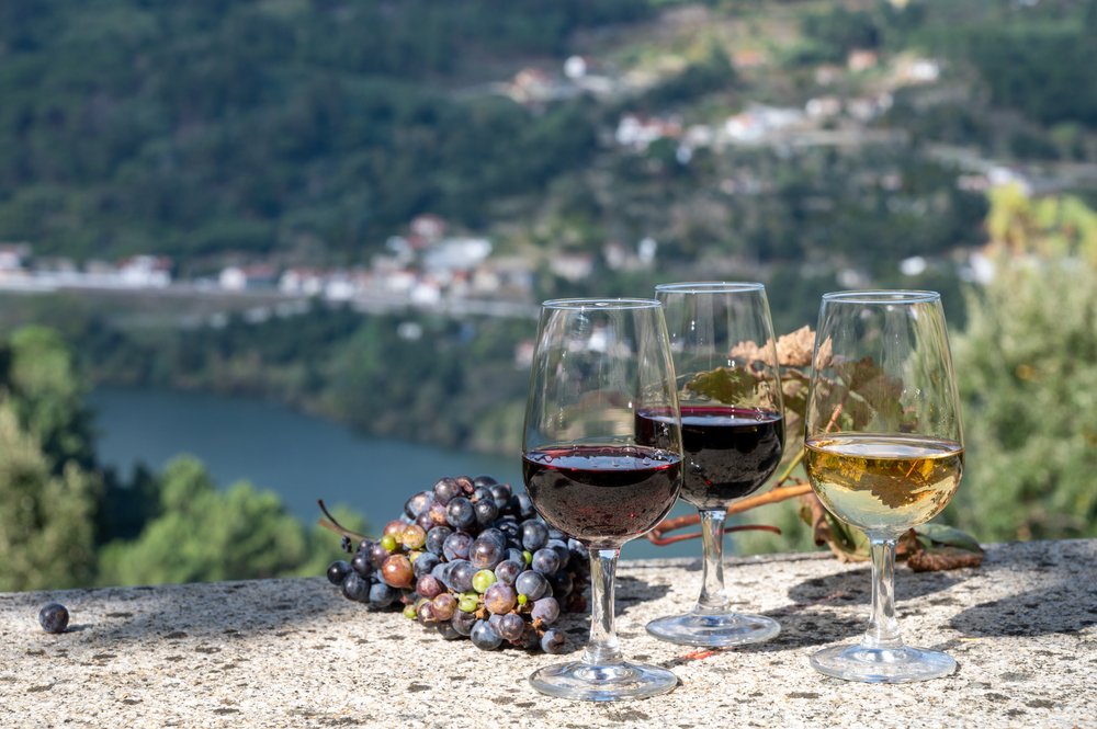 more glasses of wine to taste in the douro valley wine region, two reds and one white, next to grapes, in front of the douro river view