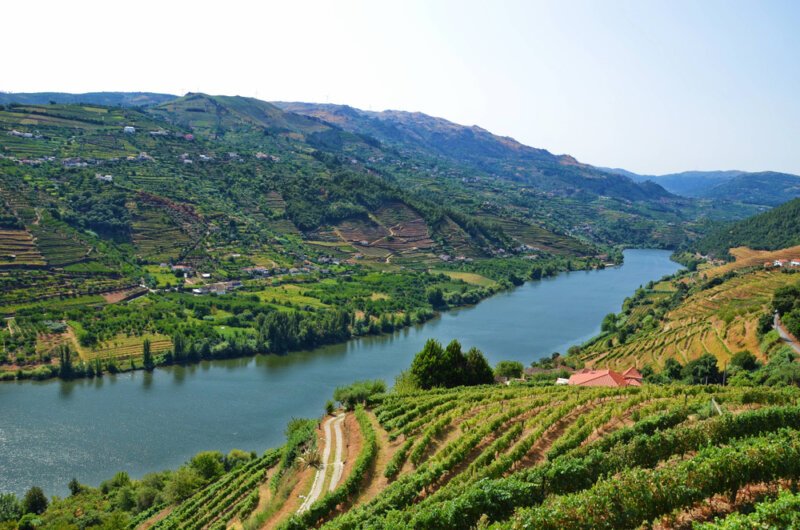 7 Best Douro Valley Winery Hotels & Quintas to Stay In - Eternal Arrival