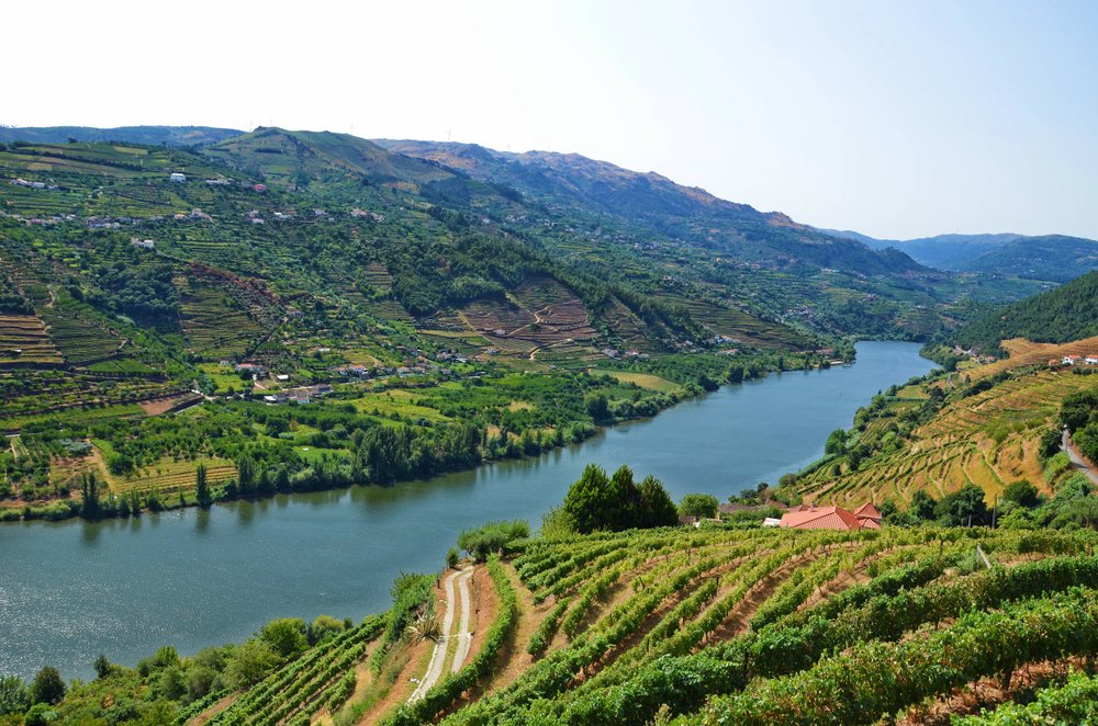 view of the douro valley river and landscape and quintas on a sunny day with the hillside very lush and green