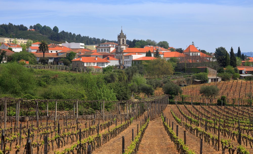 The Douro wine growing Region of Sabrosa with a view of the historic town and parish church steeple from the vineyards.