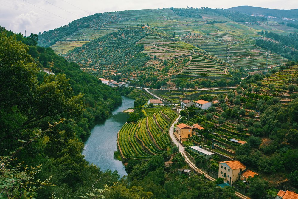 View from a miradouro above the Douro River with vineyards and quintas below and the river bisecting the valley