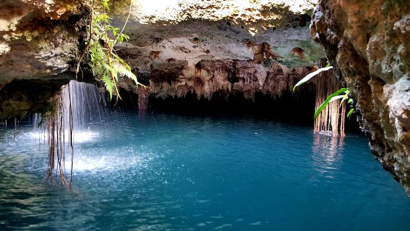A beautiful empty cenote with turquoise blue water and trailing plants that you can visit on your own as a private experience