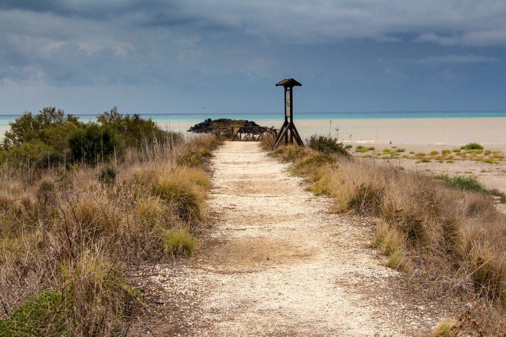 Path to the sea, Catania , Italy Nature reserve Oasis Simeto
