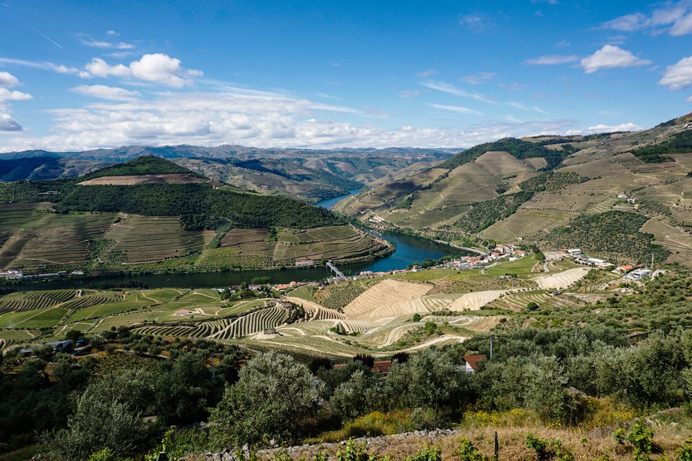 view of the douro valley from above at a wine hotel area