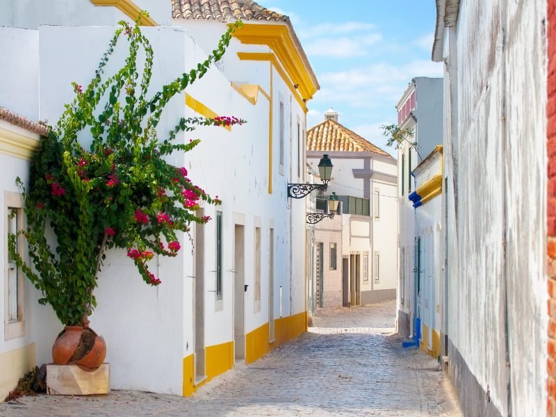 the whitewashed town of faro with yellow and blue and red painted details on the buildings and a tall plant on a sunny day