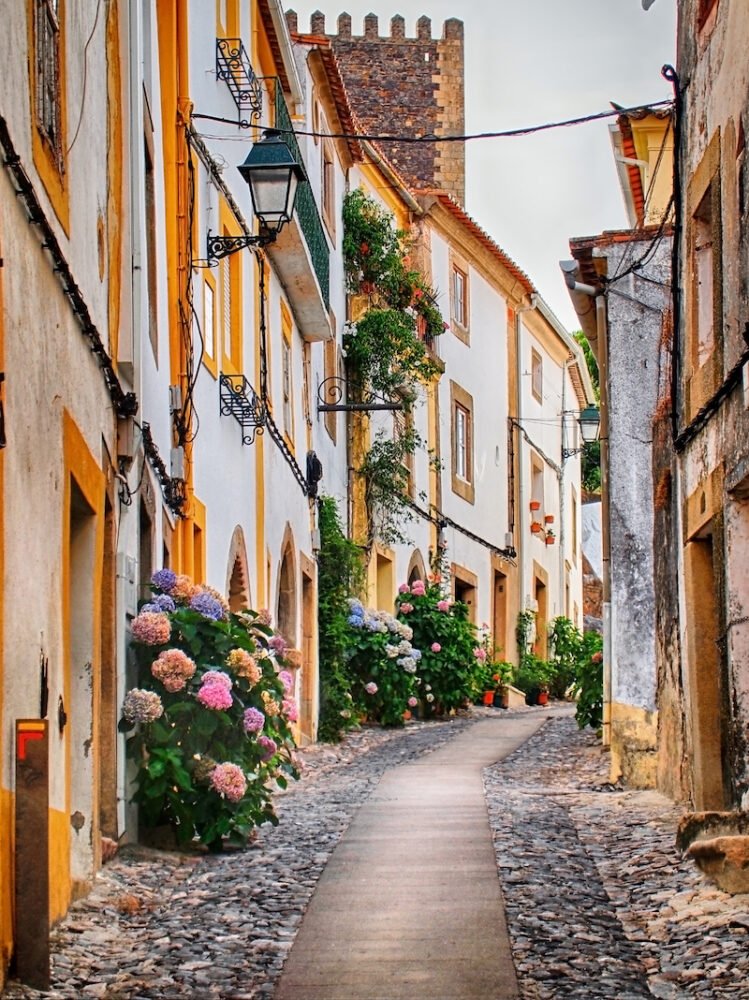 A typical street in Alentejo's villages, Castelo de Vide. Cobblestone path with a straight paved path through it, lots of flower bushes, old houses