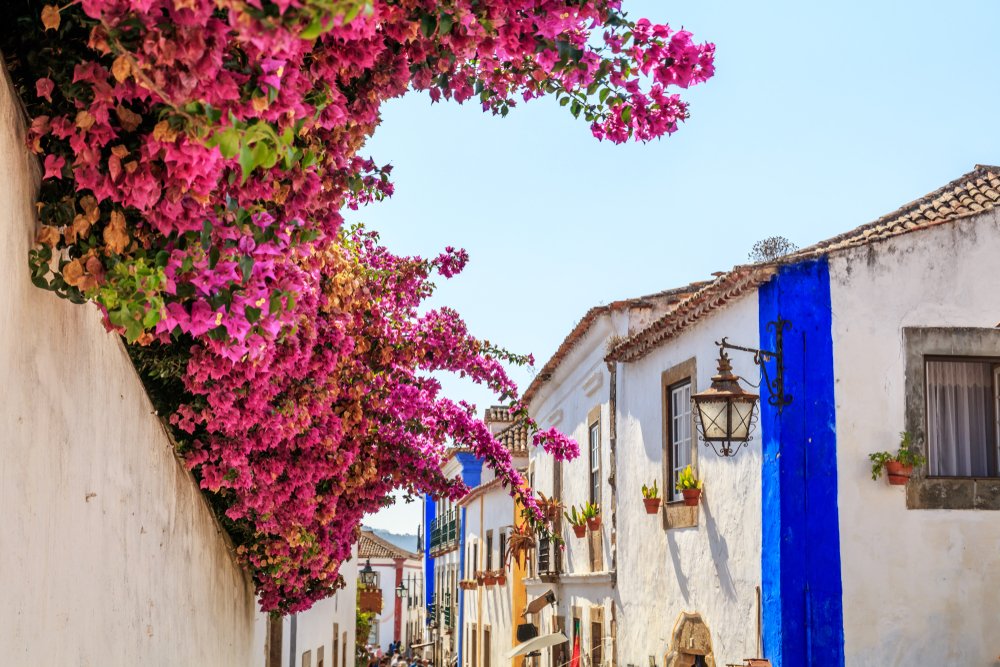 Streets of Obidos, Portugal, known for its distinguished architecture and history. Pink flowers and whitewashed town with blue stripes on some of the facades.