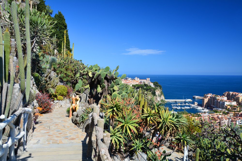 the exotic garden of monaco viewing the coastline in the distance on a sunny summer day