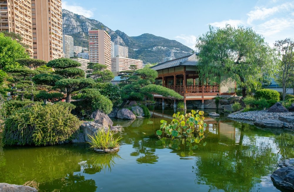 Japanese garden in Monaco and aquatic plants and amazing trees and a Japanese wooden pavilion
and residential high-rise buildings in the background, showing Monaco in the distance