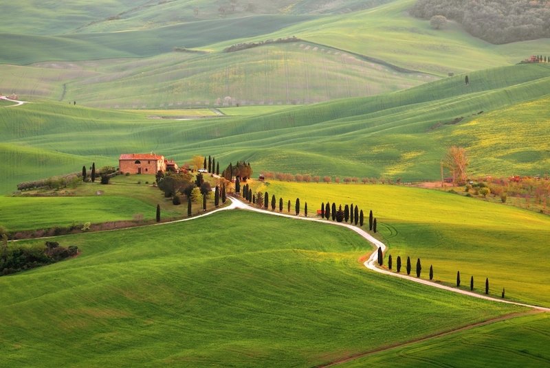 Typical Tuscany landscape with grain fields, cypress trees and houses on the hills at sunset. Summer rural landscape with curved road in Tuscany, Italy, Europe