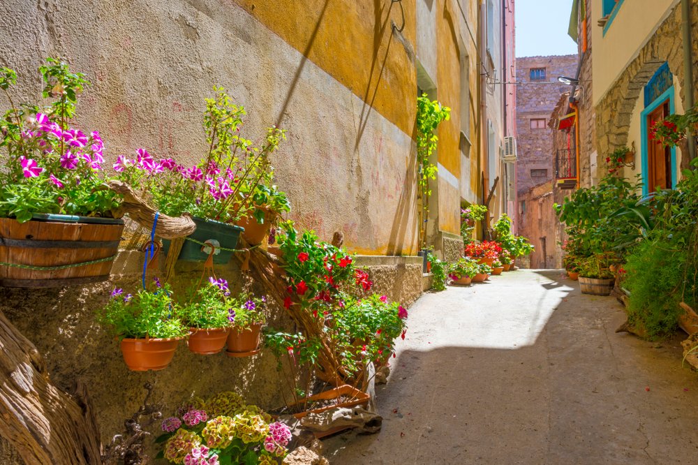 Flowerpots, florals, houses in the streets of the town of Cala Gonone, a charming Sardinia beach town