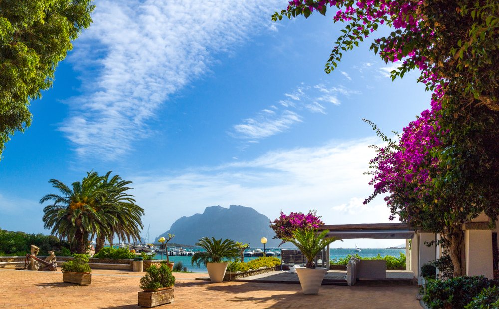 Italy, Sardinia, the Tavolara iland seen from Porto San Paolo harbor with pink bougainvillea and azure wawters and palms and boats
