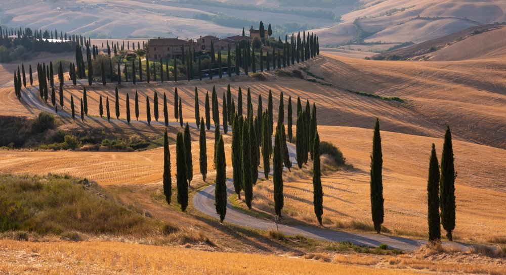 The road leading to the La Foce gardens in the southern part of the Val d'Orcia, with cypress trees on both sides of the road