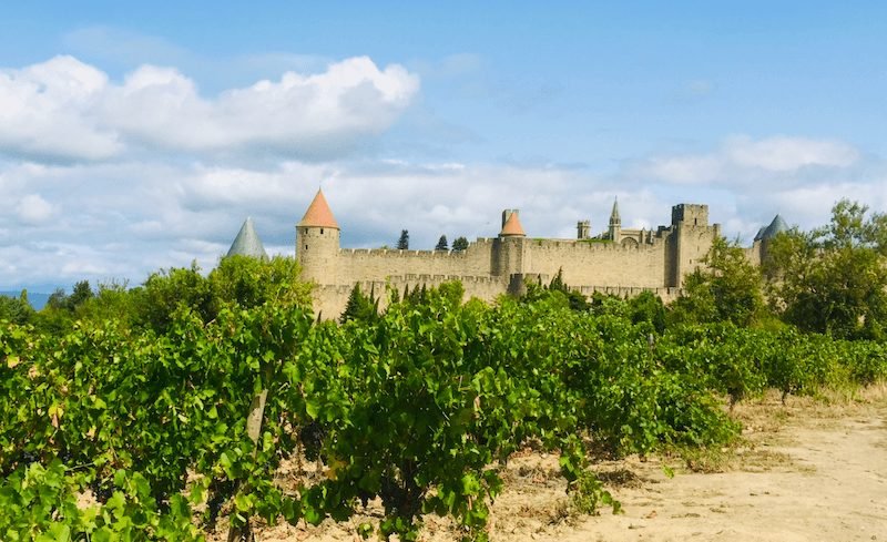 vineyards outside of a walled city in france, with turrets and a church in the citadel area
