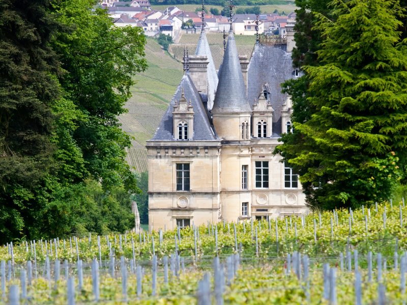 vineyards in front of a fancy chateau with spires and turrets and more vineyards in the background and more village houses